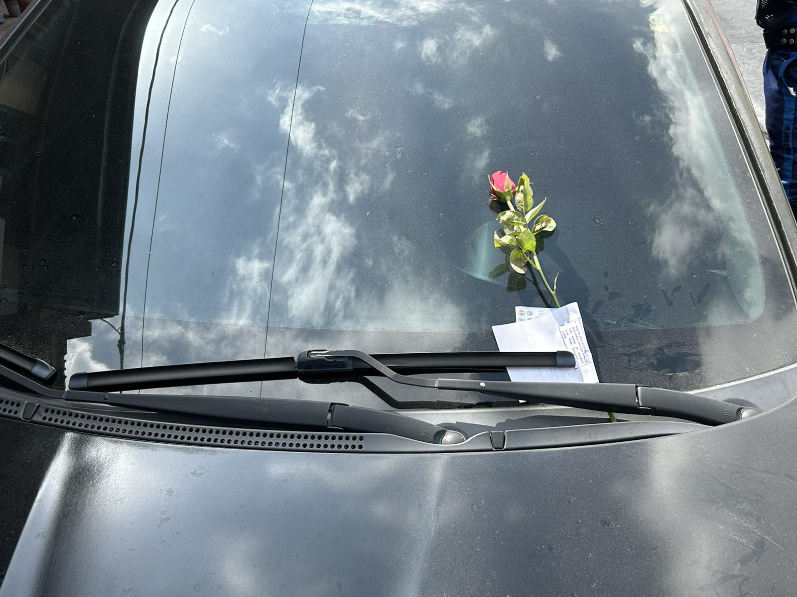 Personnel from the Metropolitan Manila Development Authority (MMDA) surprised traffic law and city ordinance violators not just with citation tickets but also with red roses on Valentine’s Day.