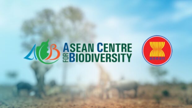 Nearly 700 new wildlife species found in Southeast Asia – ACB