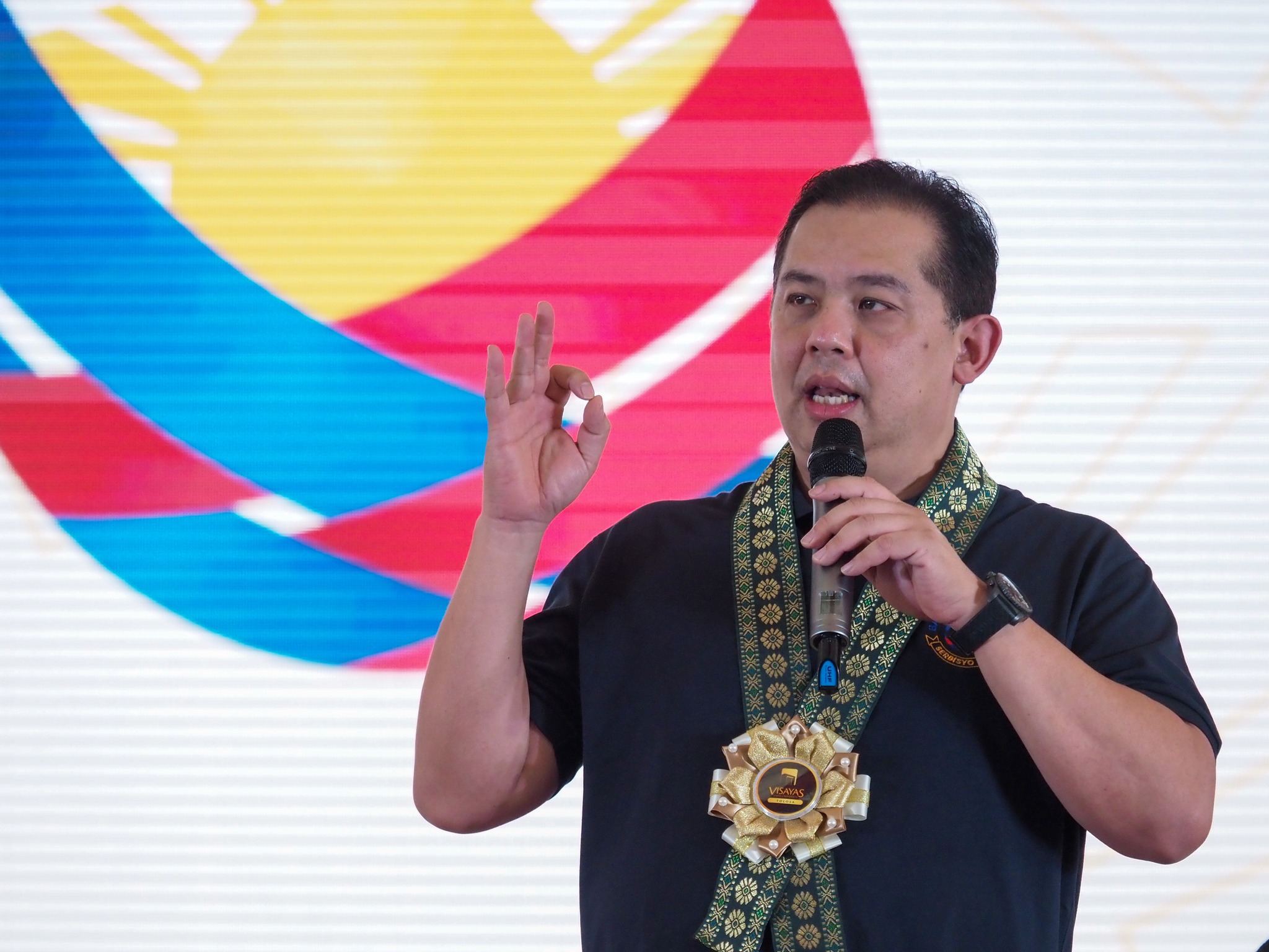 Romualdez stays hopeful Senate will have enough votes for Chacha