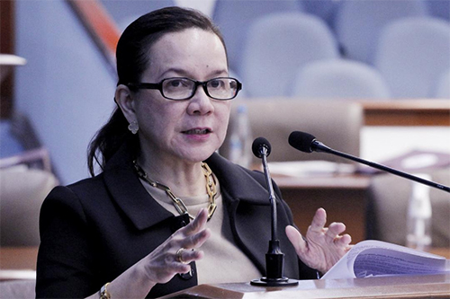 Pet animals are not meat that can be placed under a meat inspection office of the Department of Agriculture (DA), according to Senator Grace Poe.