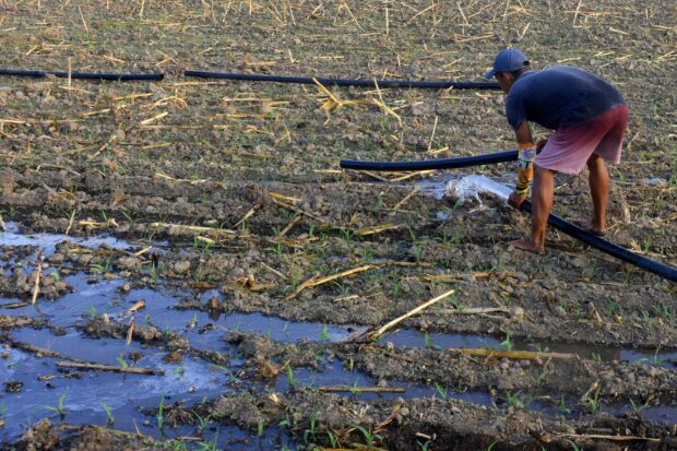 STORY: A farmer ensures that his newly planted cornfield gets a regular water supply in Barangay Leet in Sta. Barbara, Pangasinan. STORY: Irrigated farms spared by El Niño impact – NIA