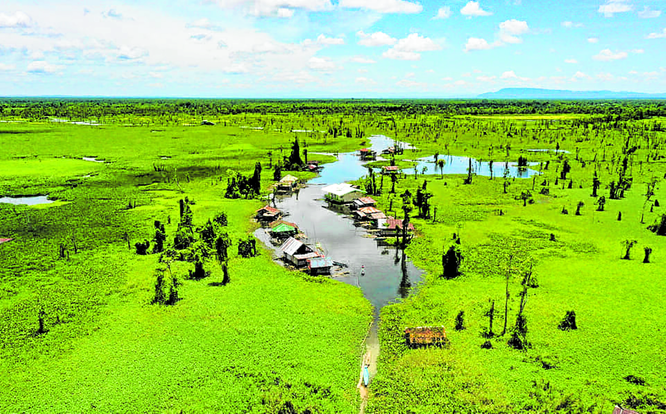 The aerial view of Lake Panlabuhan Agusan Marsh mining
