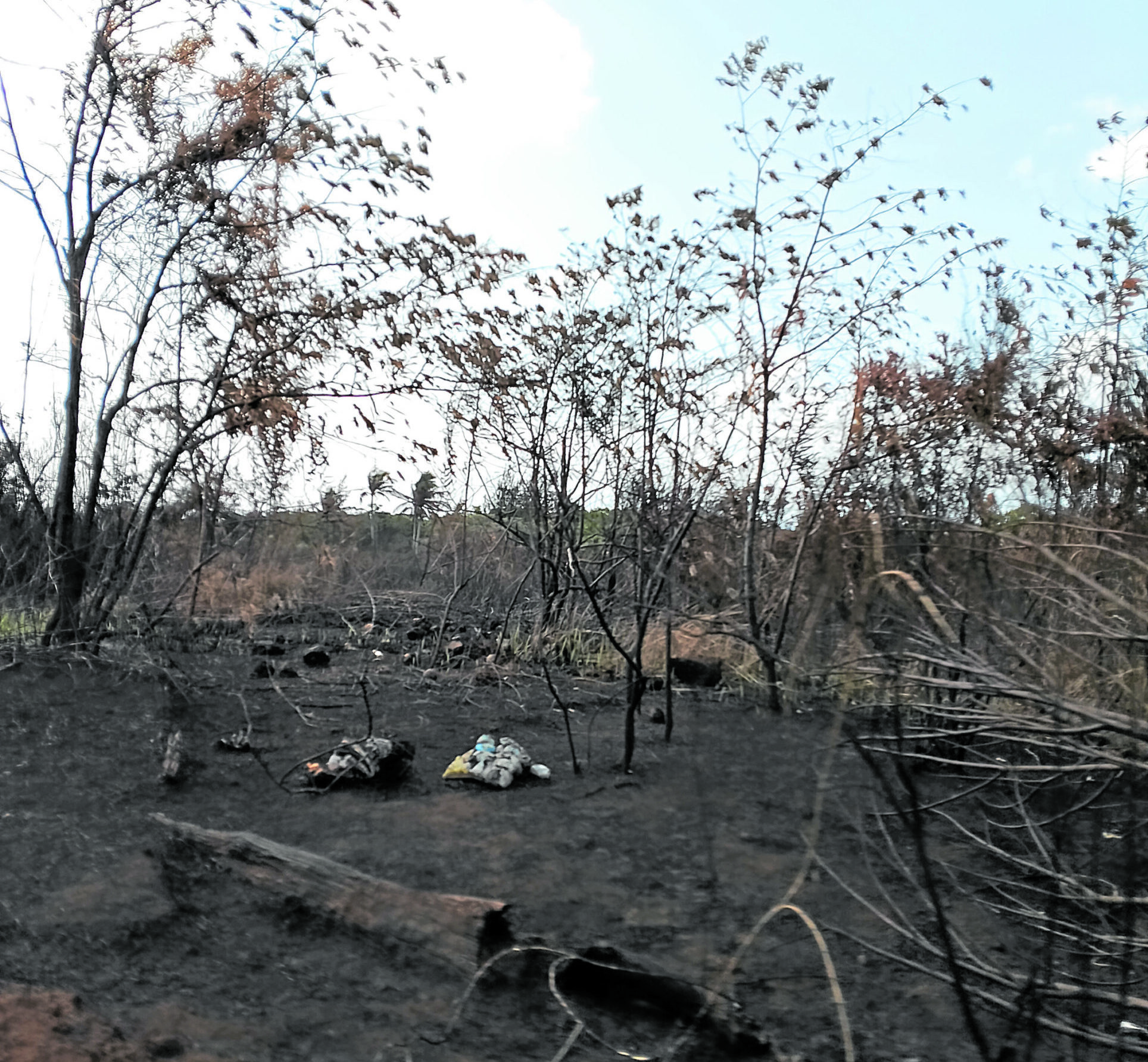 A section of a forested area on Homonhon Island is hit by fire