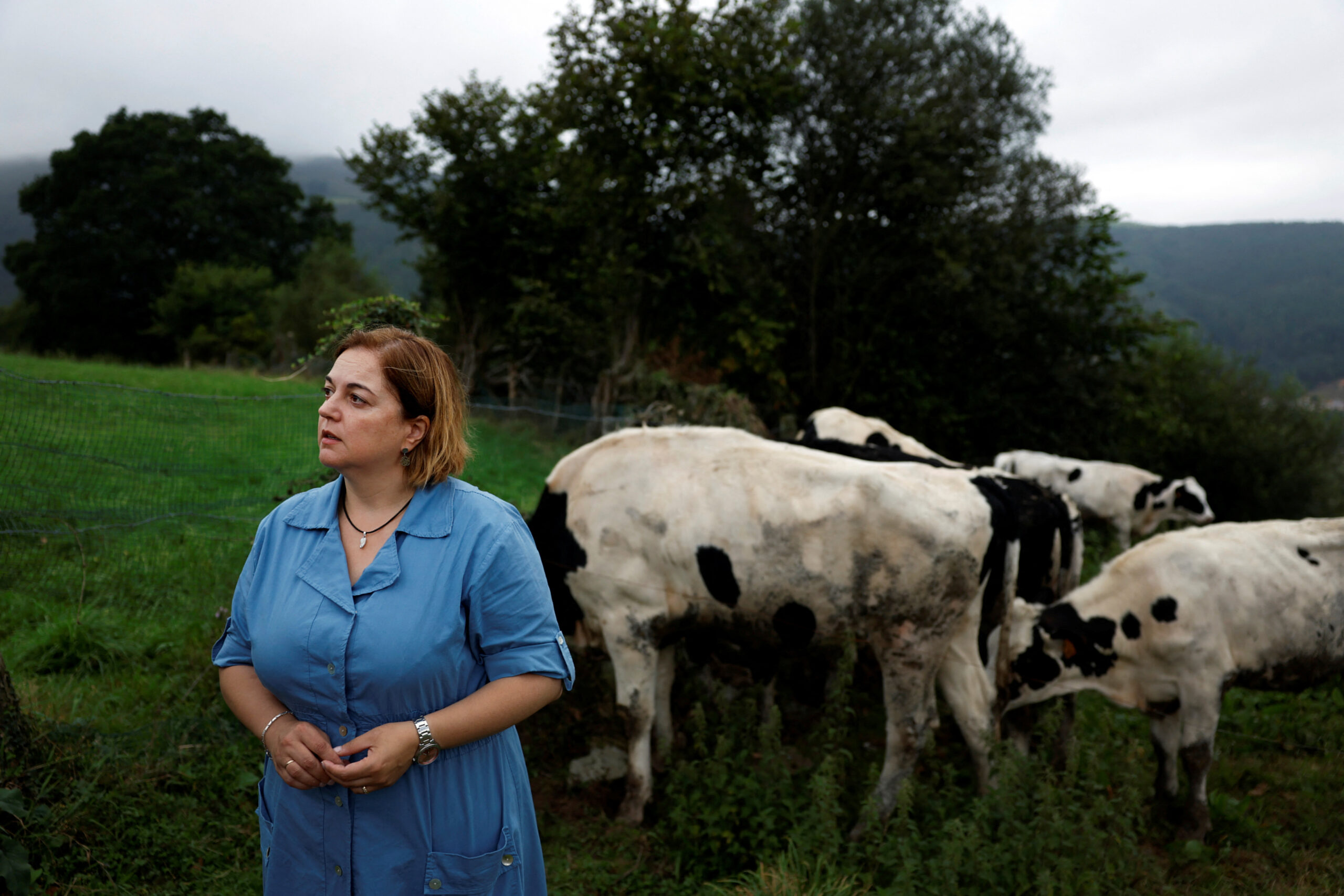 Spain braces for wildfires as beef farmers battle red tape