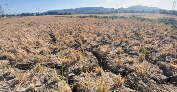House lawmakers wants probe into strong El Niño's impact on agri
