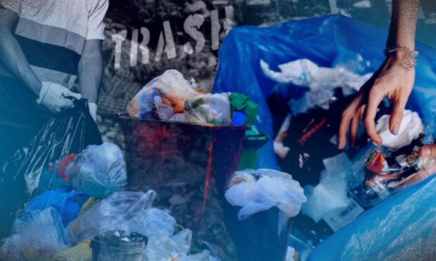 PHOTO: Composite image of trash STORY: Oceana lauds plastic ban in Sierra Madre protected area