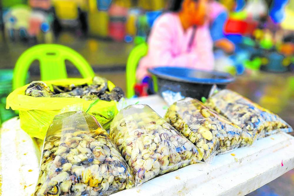 Alaminos City’s ‘talaba’ industry coming slowly out of its shell