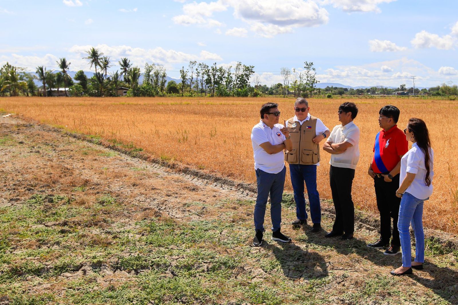 President Ferdinand Marcos talks to government officers and representatives during an inspection at an onion and rice field hit by drought due to El Niño in Brgy. Central, Municipality of San Jose in Occidental Mindoro on Tuesday, April 23, 2024. | PHOTO: Noel B. Pabalate / PPA POOL