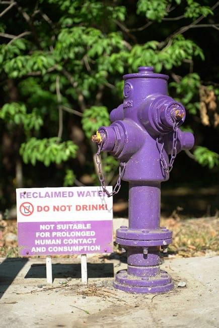Manila Water’s purple hydrants are designed to tap effluent water from the company’s wastewater treatment plants for non-potable uses, such as supplying water to BFP during fire emergencies.