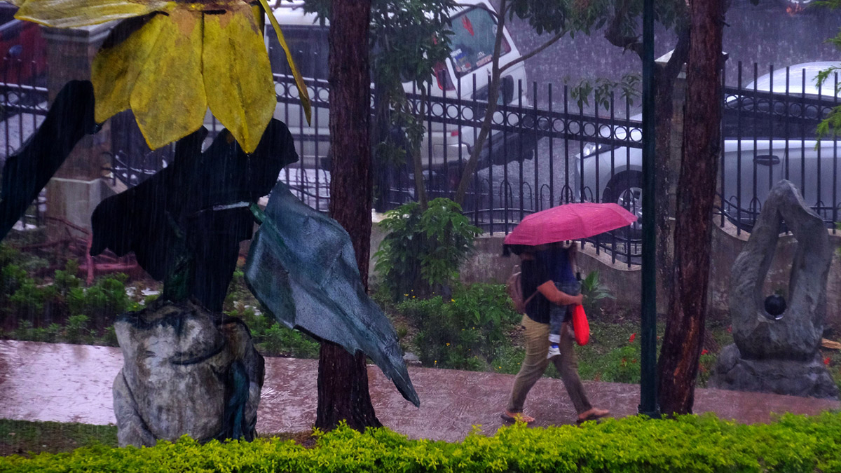 DOWNPOUR Heavy rains fall on Baguio City on Tuesday, giving relief to the city’s pine trees and forest patches. —NEIL CLARK ONGCHANGCO