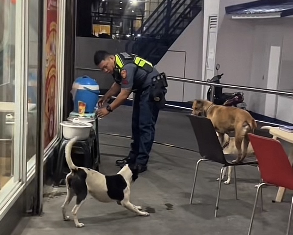 Staff Sergeant Oliver Alfonso, a graveyard beat patroller of Manila Police Station - 11 (Binondo) assigned to Soler Outpost giving water to stray dogs. (Photo screengrab from a TikTok video posted by Krizlyn Mayao)