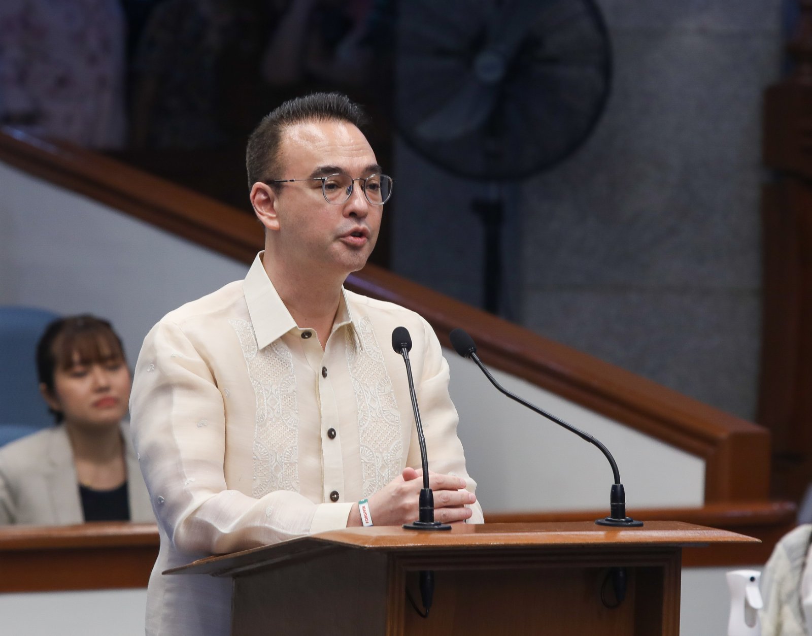 The next secretary of the Department of Education (DepEd) should be a “perfect replacement” to solve the problems of the education sector, Senator Alan Peter Cayetano said.