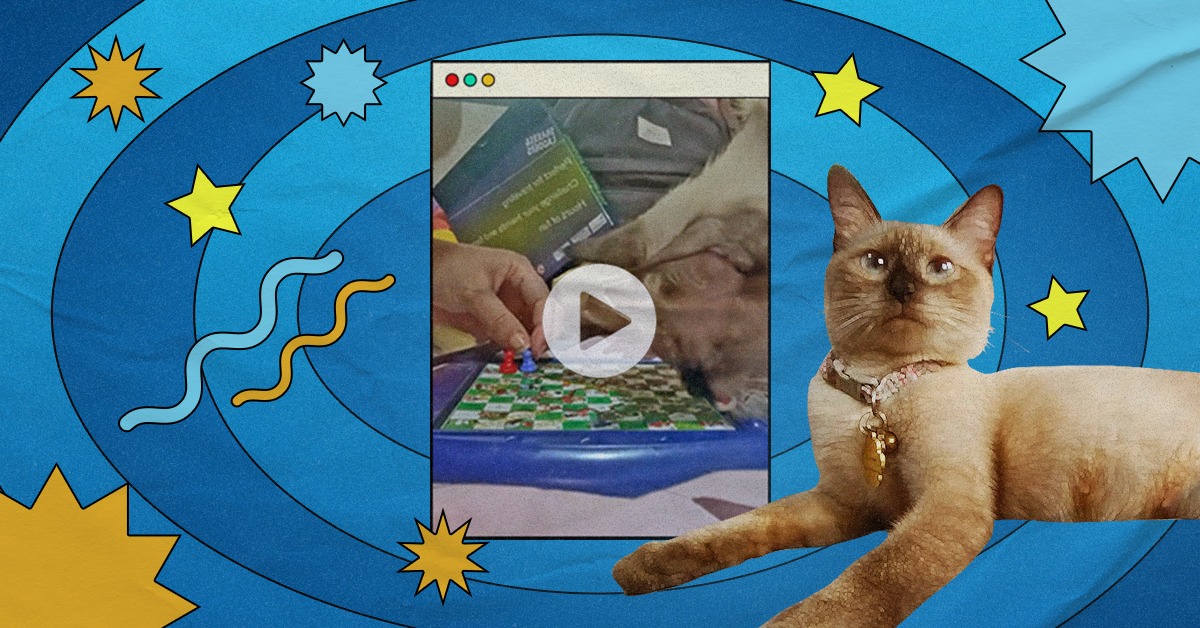 Fur mom Alexa Anne Pasion plays the "Snake and Ladders" board game with her pet cat, Cassiopeia.