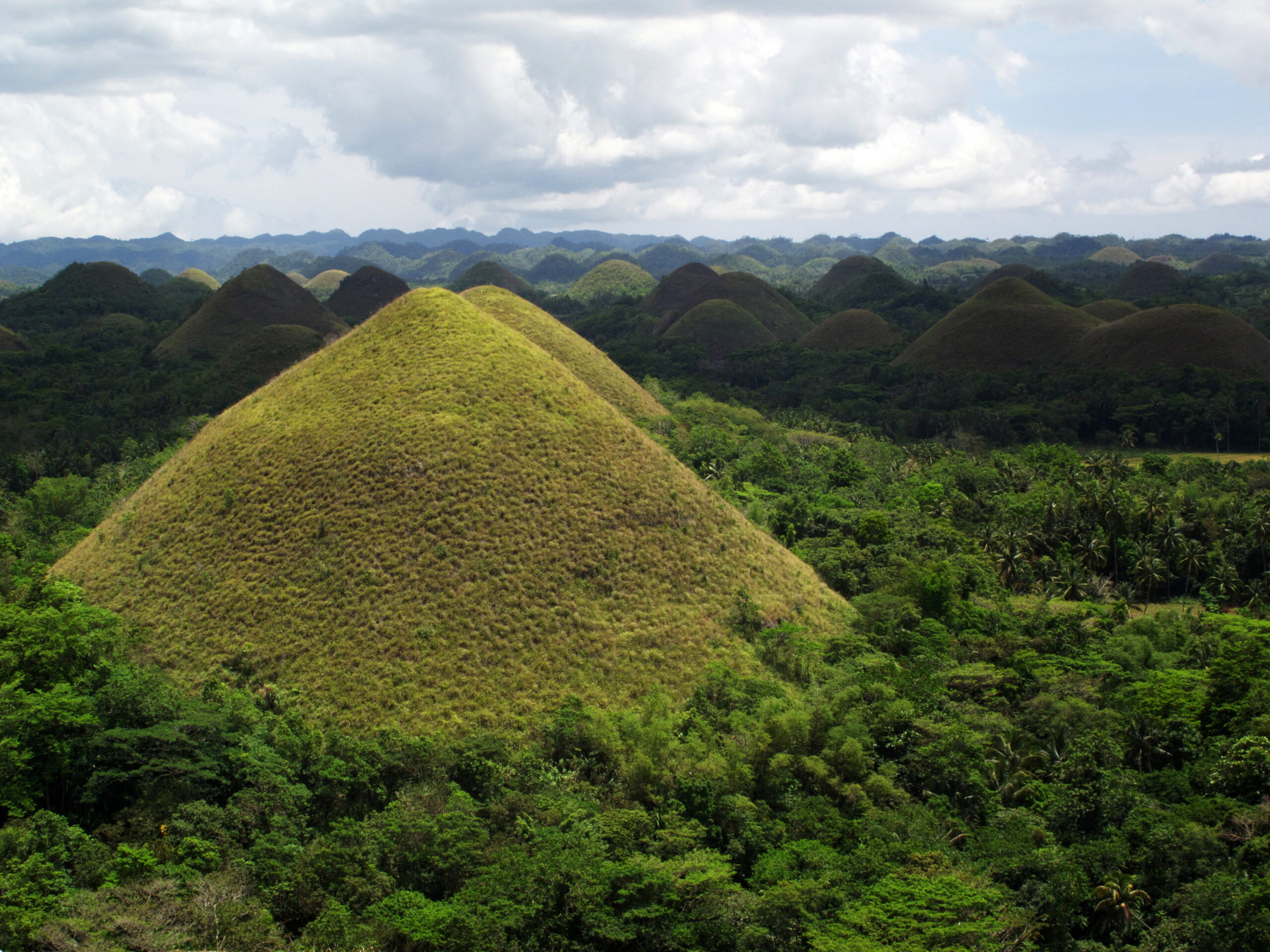 558 Chocolate Hills establishments without required documents – DENR