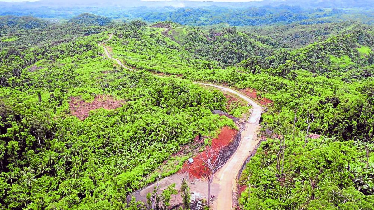 In Samar, major road project to spare trees in protected area