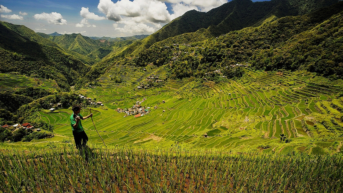 HERITAGE SITE The Batad rice terraces in Banaue, Ifugao, shown in this April 2013 photo, are the most picturesque of the terraces that make up the United Nations Educational, Scientific and Cultural Organization’s World Heritage Site. But a number of terraced farms in Ifugao have been abandoned by their owners and the Department of Agriculture wants to rehabilitate them in the coming years to help improve the country’s rice production. —EV ESPIRITU