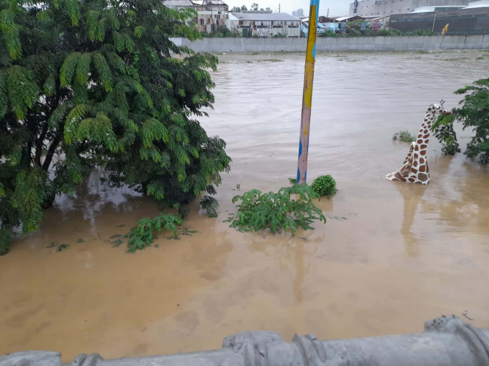 Marikina River on Wednesday, July 24, 2024