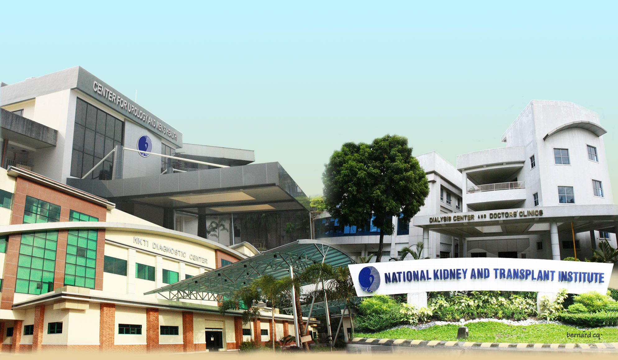 The National Kidney and Transplant Institute (NKTI) on Tuesday said it is conducting its own investigation on alleged cases of organ trafficking.