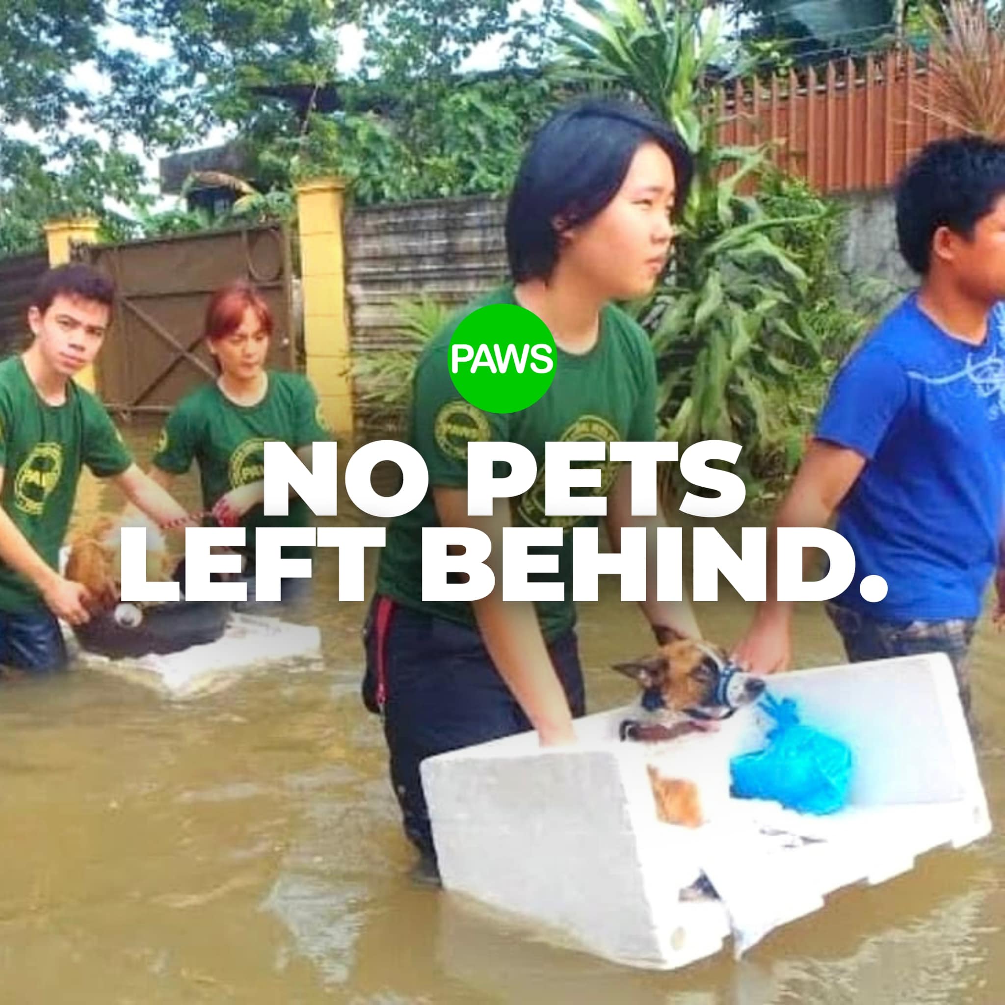 Evacuate, ensure safety of pets too during bad weather - PAWS