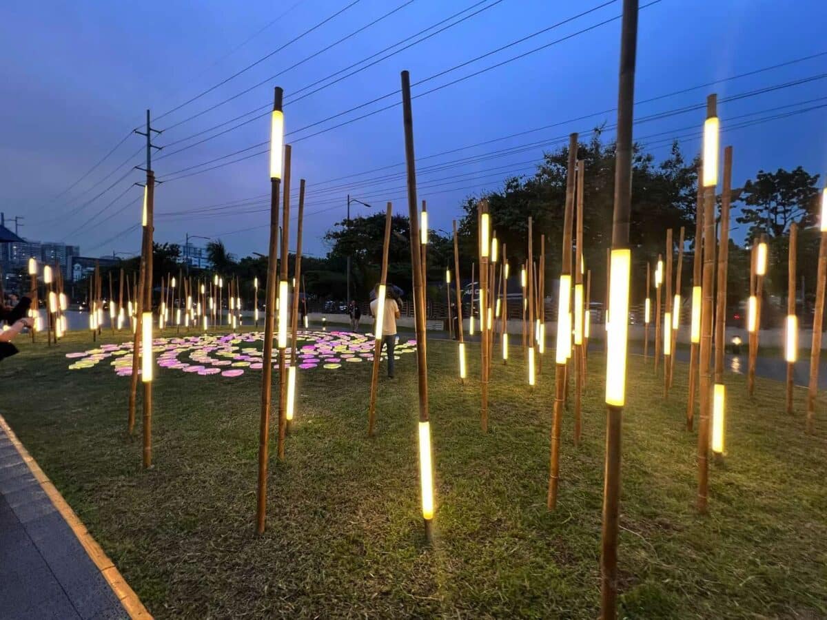 Bamboo light source