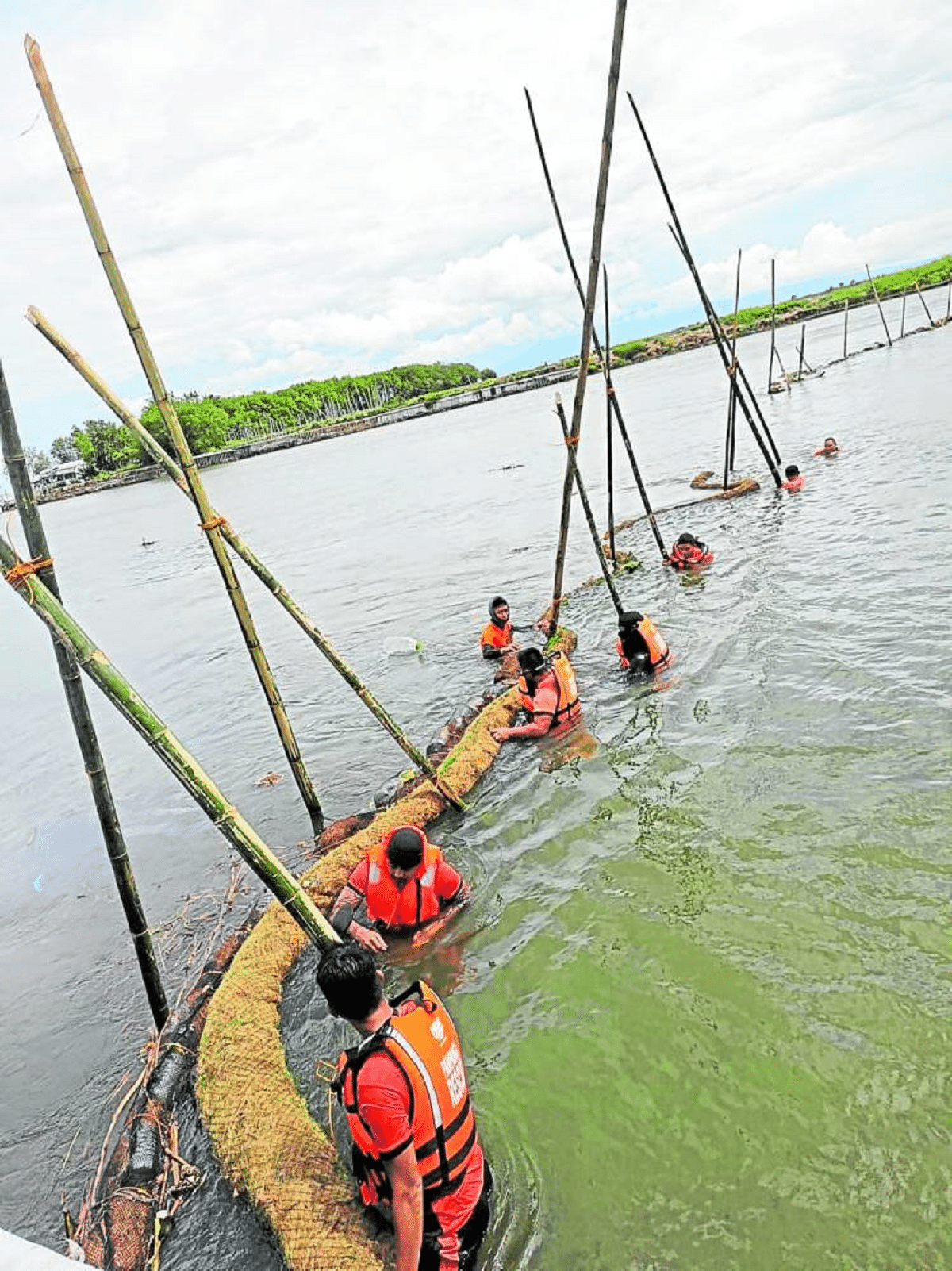 Sunken ship owner must also pay for maritime pollution, says green group