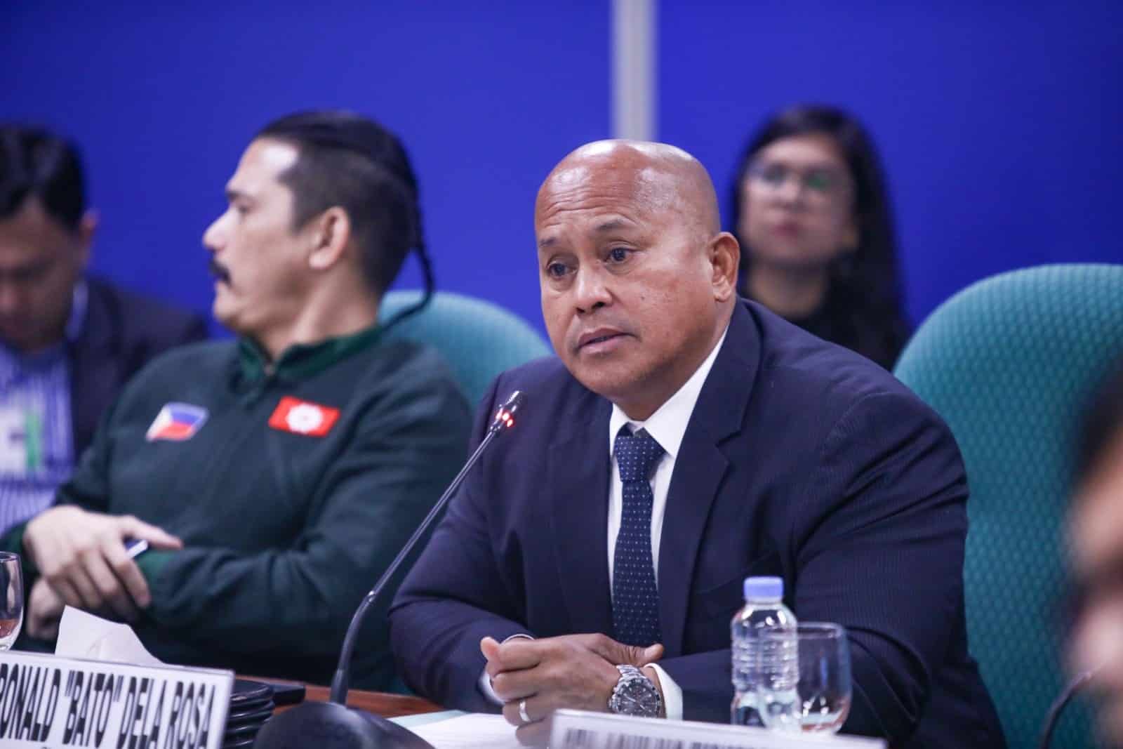 Sen. Ronald "Bato" dela Rosa appealed on Thursday that lawmakers be given ample time to review the national budget before it gets ratified by both chambers of Congress.