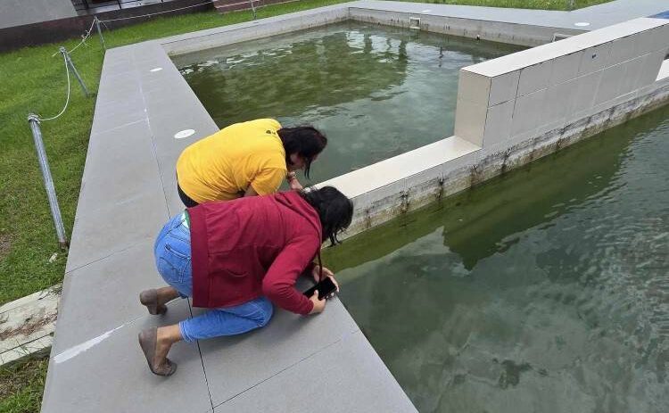 INSPECTION Iloilo Provincial Health Office personnel, in thisSept. 4 Facebook post, inspect a stagnant pool in a Pavia town subdivision that can be a mosquito breeding site. 