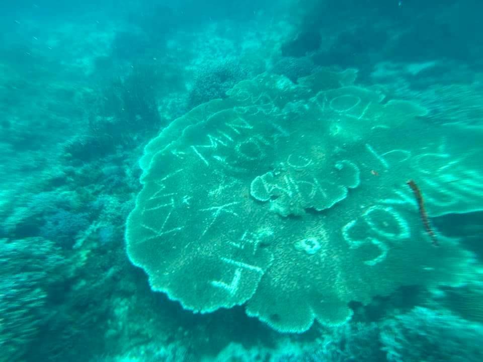 NAME GAME A number of names are etched on corals in thewaters of Virgin Island in Panglao, Bohol, shown here during an inspection by local authorities on Aug. 30. 