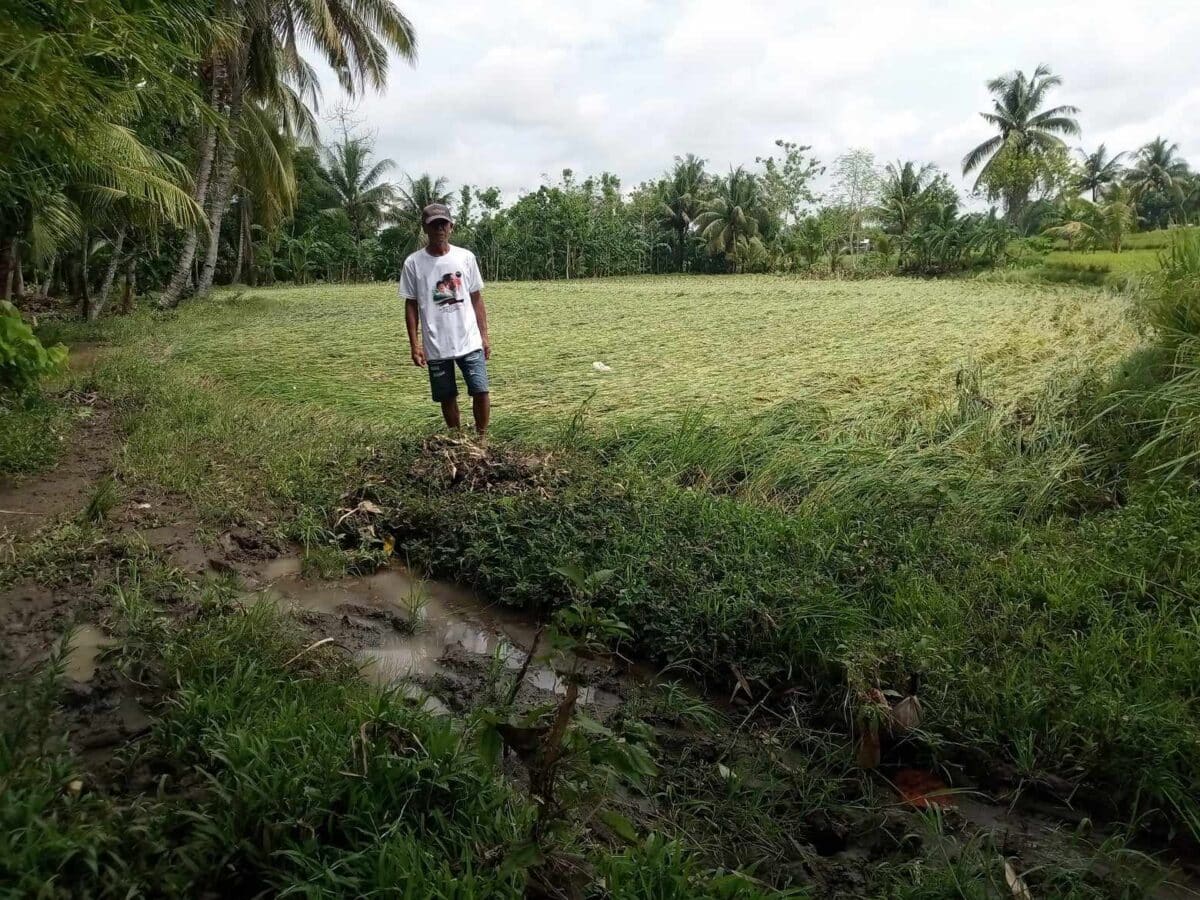 Flashfloods displace close to 400 families in Cotabato town