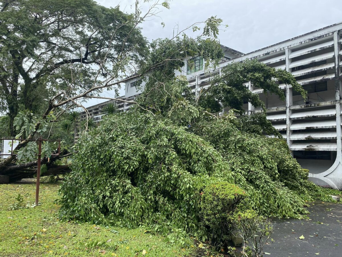 Bicol University's campuses in Daraga and Legazpi were damaged by Tropical Storm Kristine. Photo courtesy of The Bicol Universitarian, Bicol University's official student publication