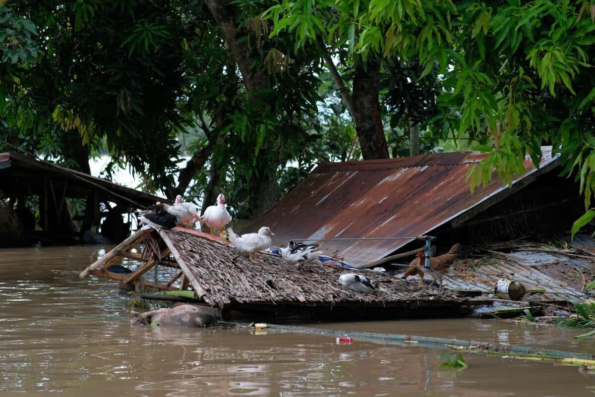 IN PHOTOS: Scenes of devastation as Kristine hits Philippines