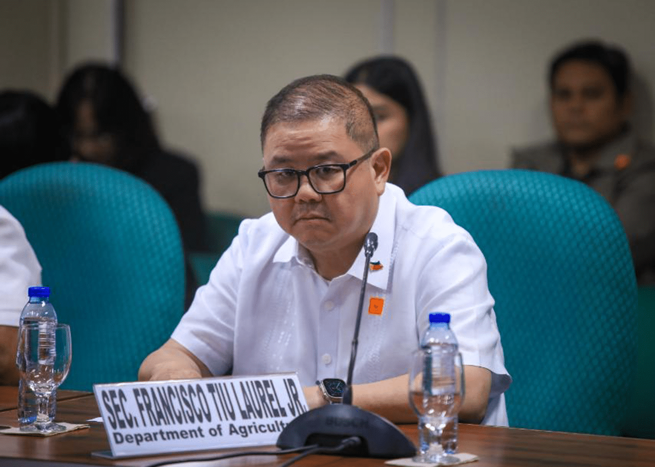 2027 budget: P16B for farm-to-market roads insufficient – DA