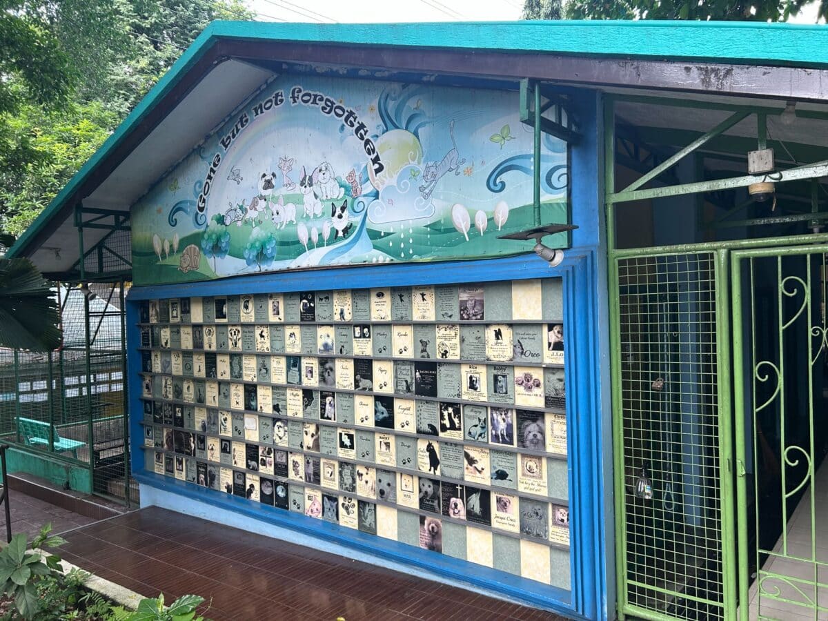 The old PAWS Memorial Wall, built in the early 2000s.