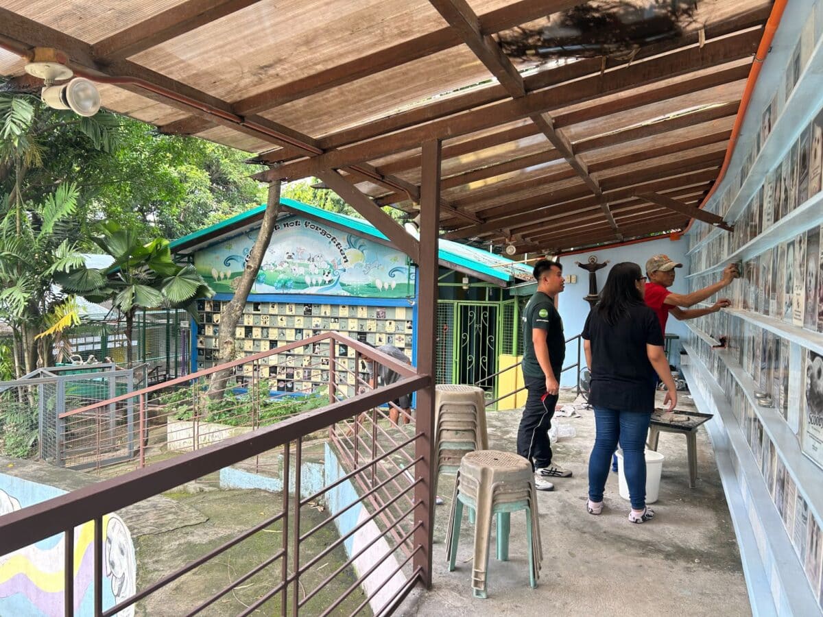 Repair of the pet memorial tiles are ongoing in the PAWS animal shelter in Loyola Heights, Marikina.