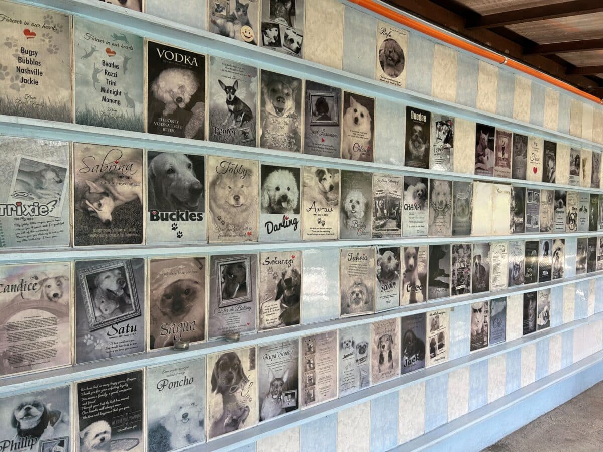 The PAWS Memorial Tiles located in the Philippine Animal Welfare Society (PAWS) in Loyola Heights, Marikina City.