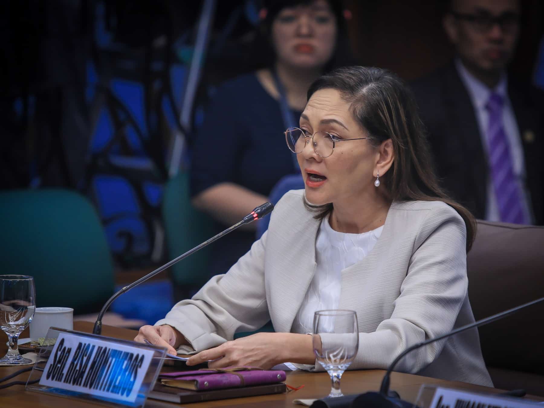 hontiveros drug war probe