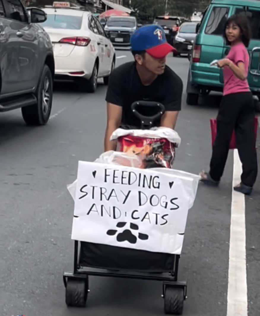 A viral food server who feeds stray dogs and cats has been “traumatized” after allegedly being forced to resign from work. 