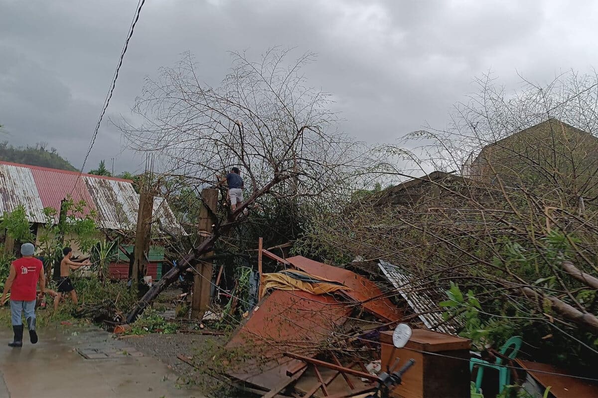 Super Typhoon Pepito topples trees, power lines in Luzon