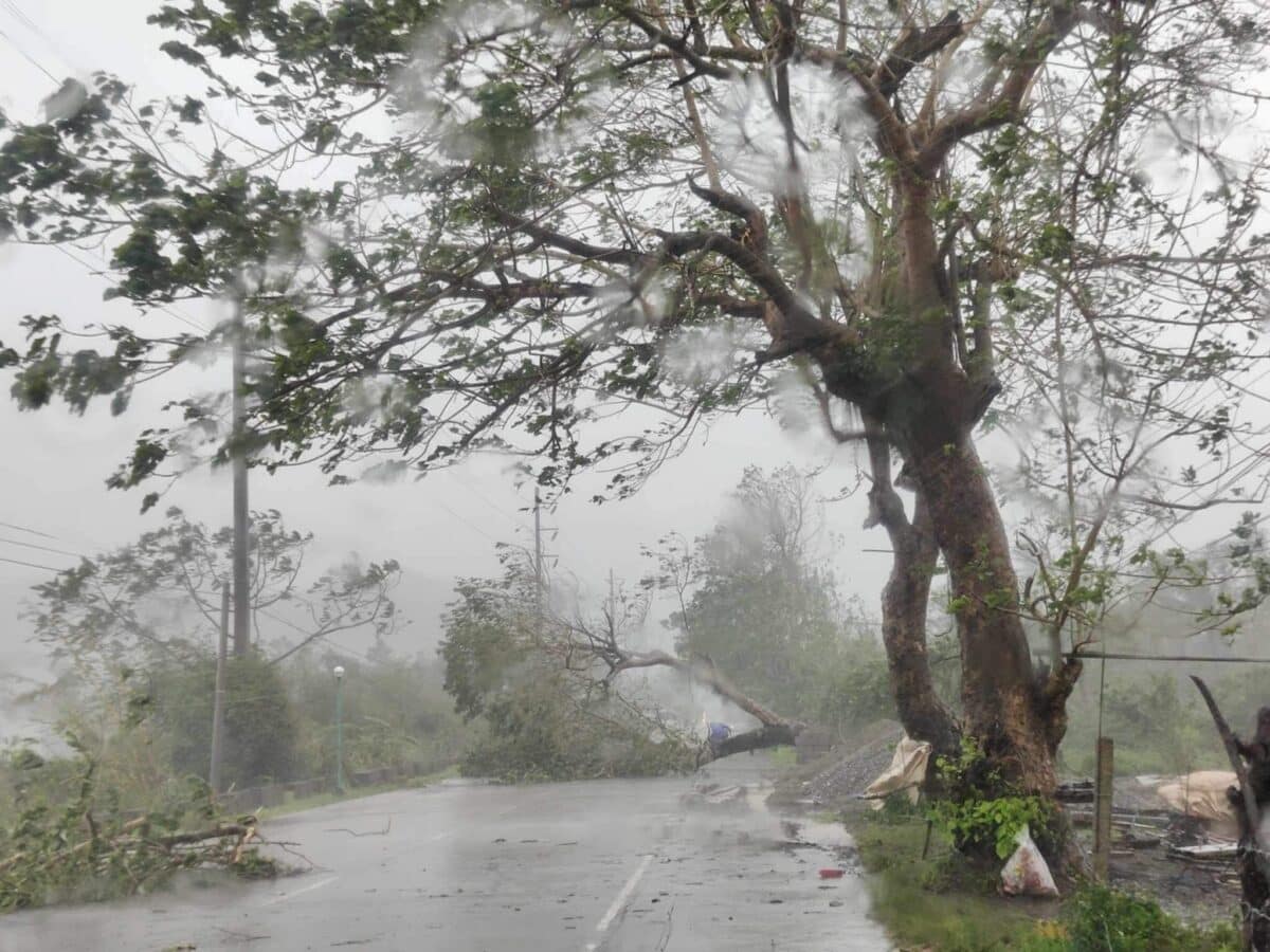 The National Disaster Risk Reduction and Management Council (NDRRMC) called on the local government units (LGUs) to utilize the use of the government’s geohazard maps to pinpoint "danger zones" and mitigate the impact of natural disasters.