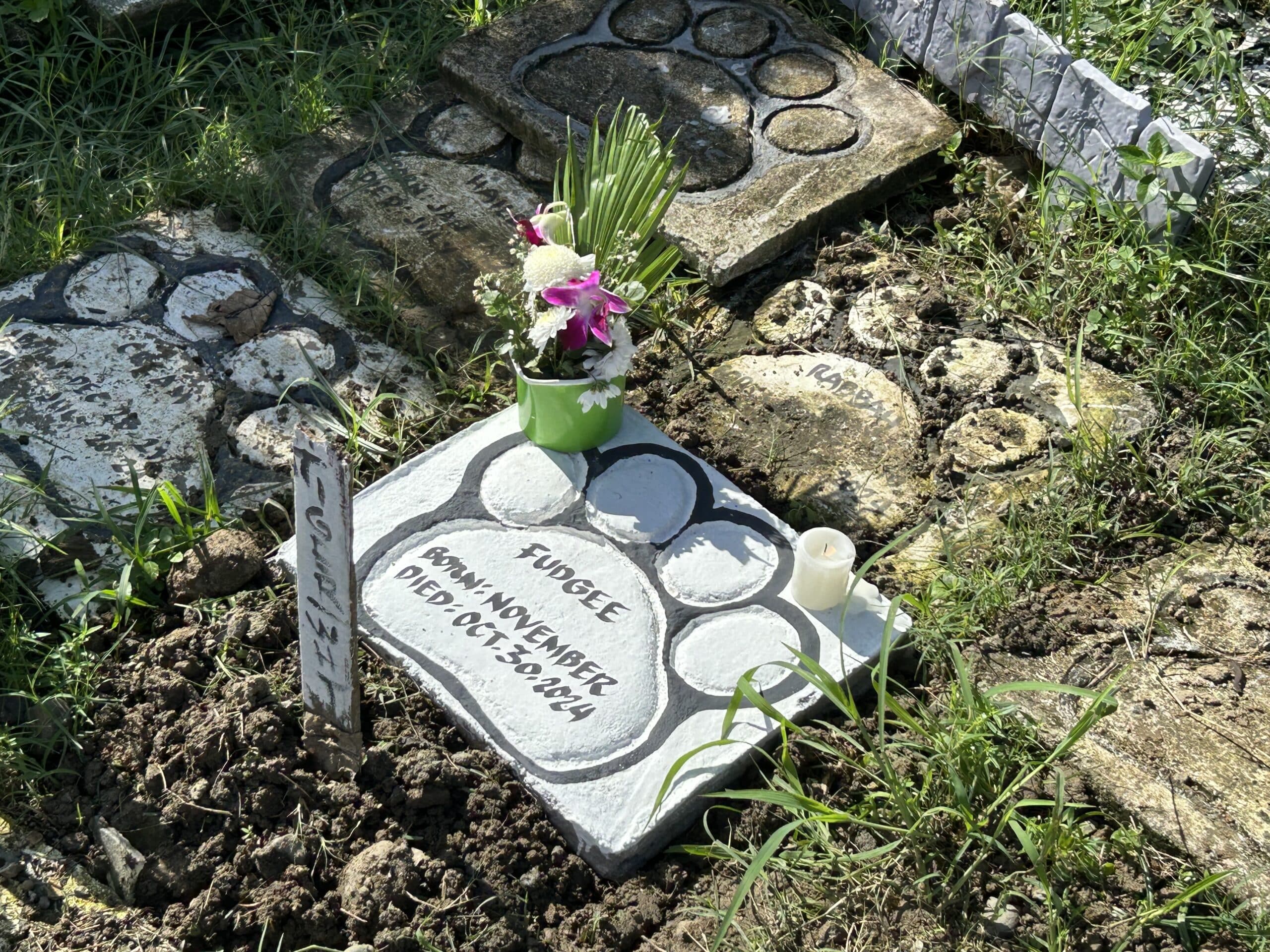 Long coat chihuahua Fudgee’s grave at Barangay Fortune Pet Memorial Garden in Marikina City. 