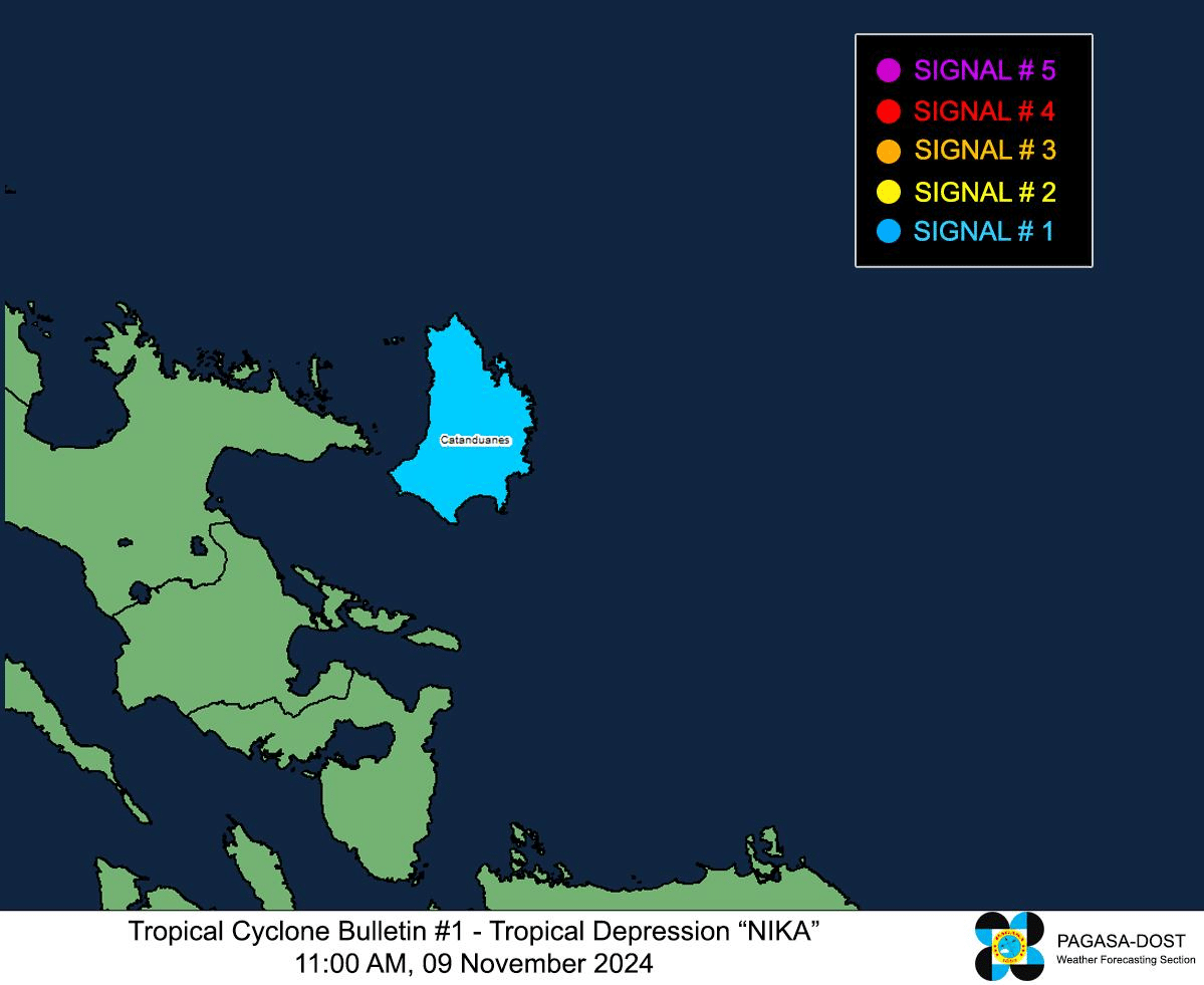 Nika may become a severe storm by Nov 11; hit Isabela or Aurora