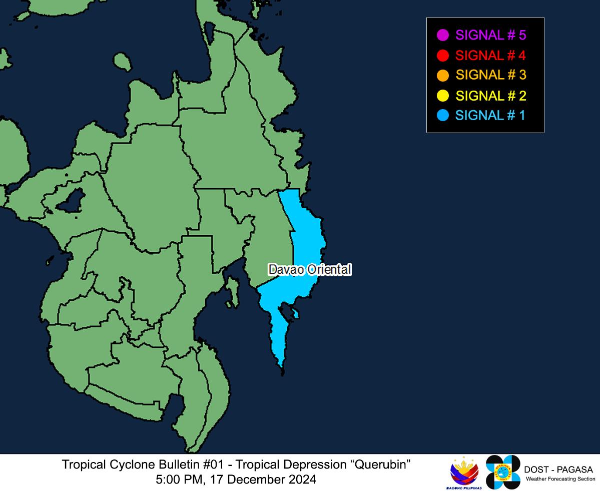 (Image from the Philippine Atmospheric, Geophysical and Astronomical Services Administration)