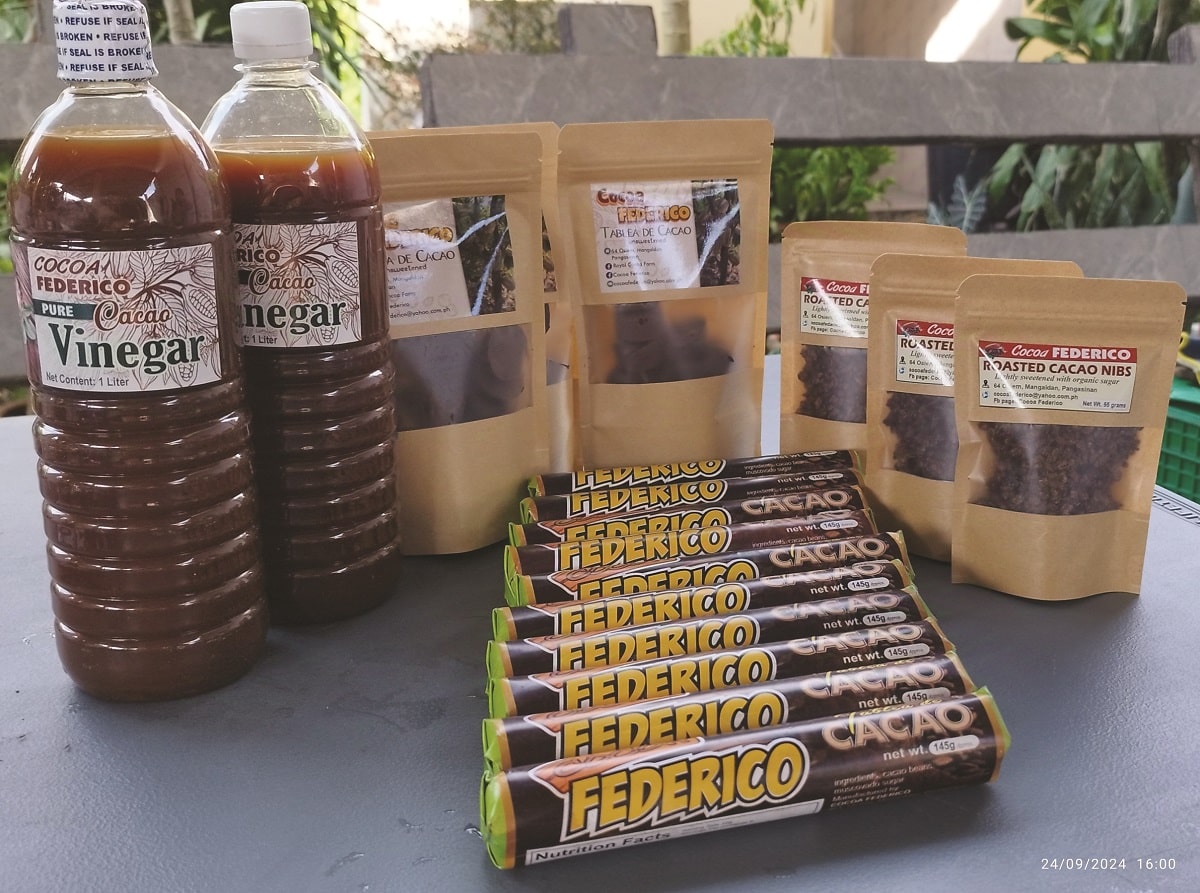 Pangasinan farmer builds cacao ‘empire’ from backyard hobby