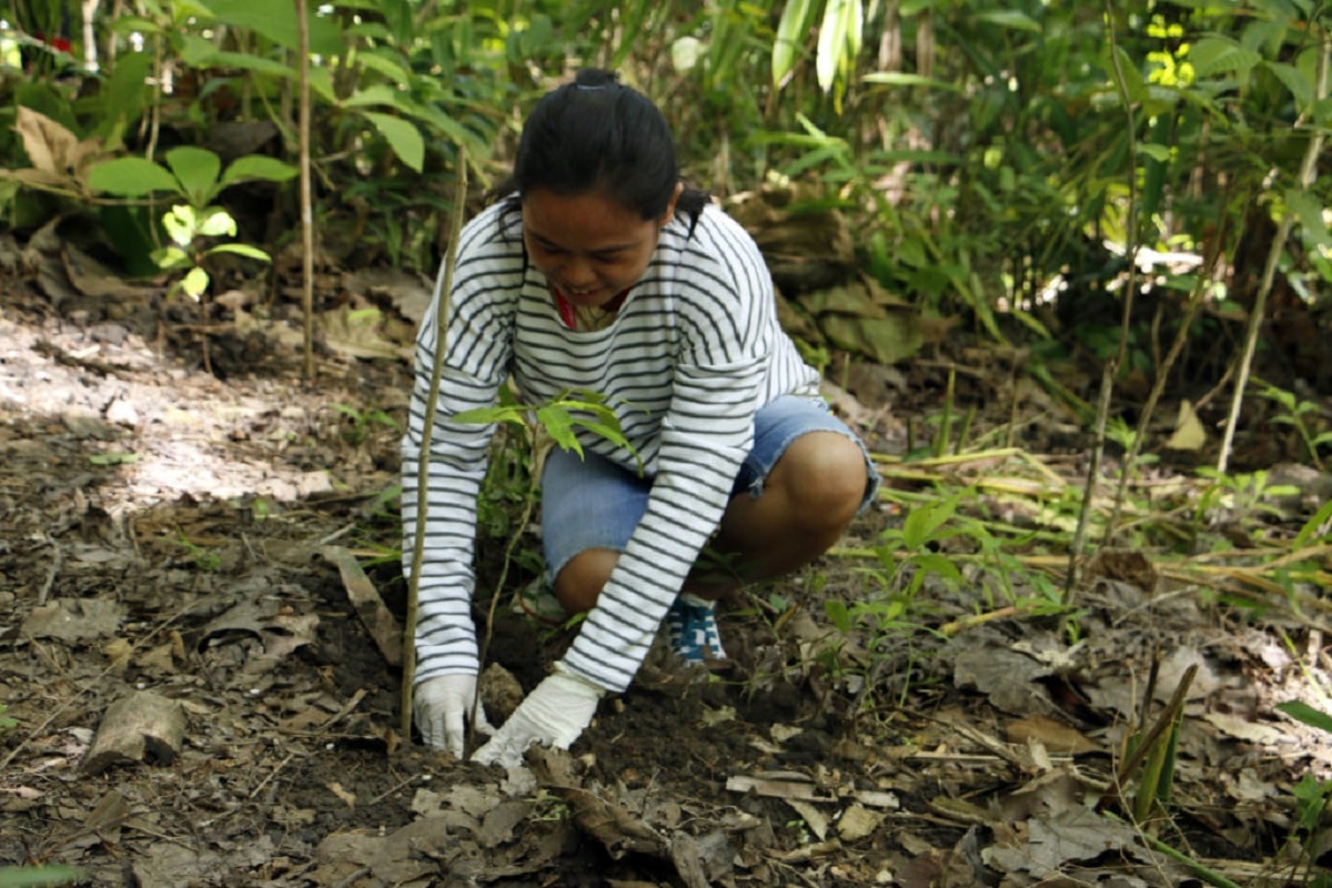 PBSP’s Save the Buhisan Watershed Project, launched in 2008, mobilized 17,000 volunteers toplant more than four million tree seedlings in over 1,670 hectares. 