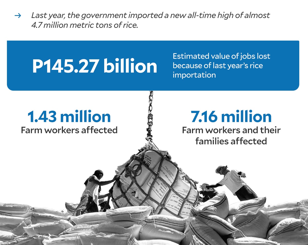 Emergency ng Seguridad sa Pagkain para sa Rice: Ang Tunay na Mga Isyu