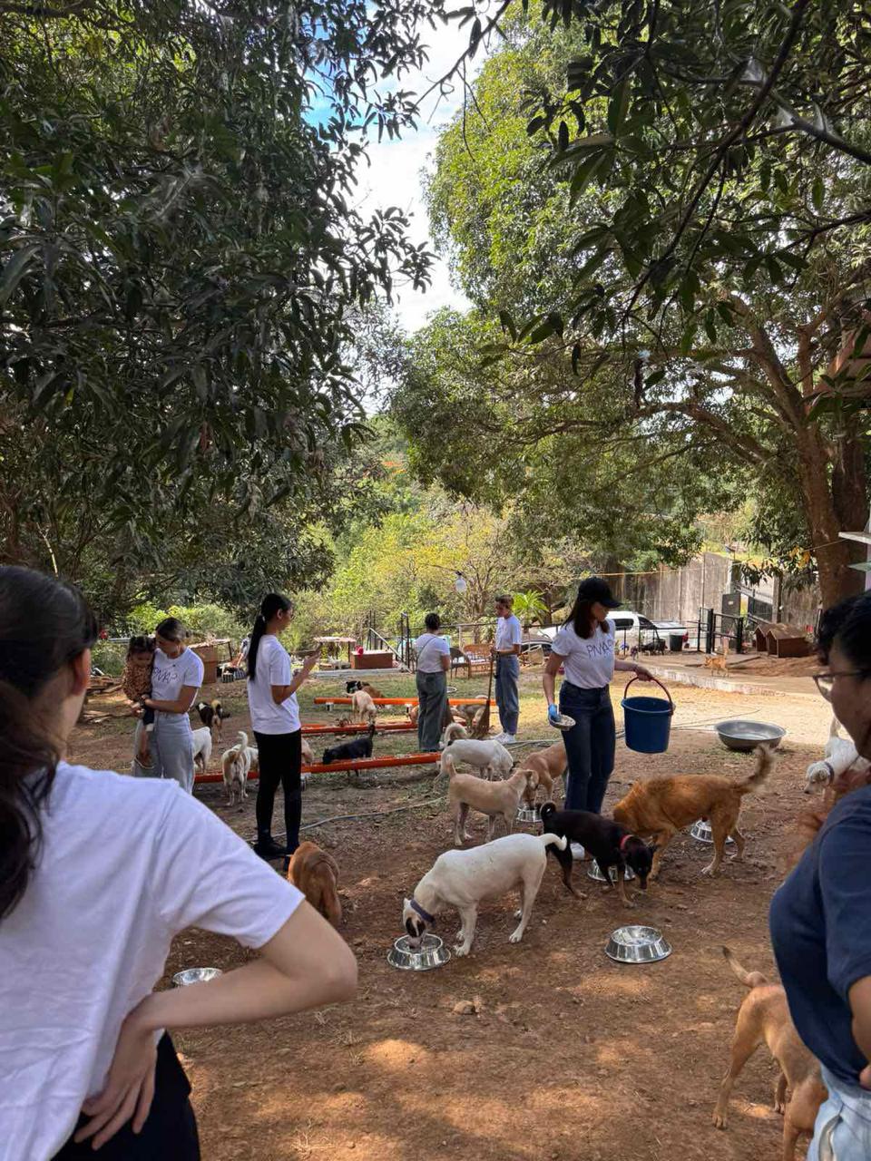 Ang Professional Models Association of the Philippines (PMAP) kamakailan ay minarkahan ang buwan ng pag -ibig sa isang aktibidad ng outreach sa Pawssion Project Animal Shelter sa San Jose Del Monte, Bulacan.