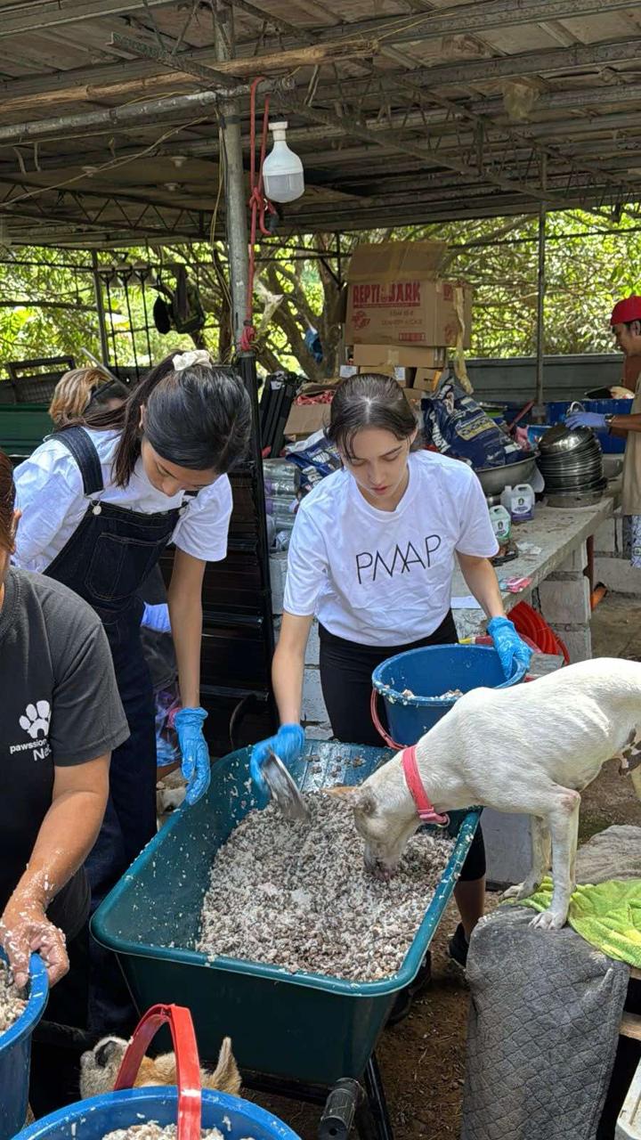 Ang Professional Models Association of the Philippines (PMAP) kamakailan ay minarkahan ang buwan ng pag -ibig sa isang aktibidad ng outreach sa Pawssion Project Animal Shelter sa San Jose Del Monte, Bulacan.