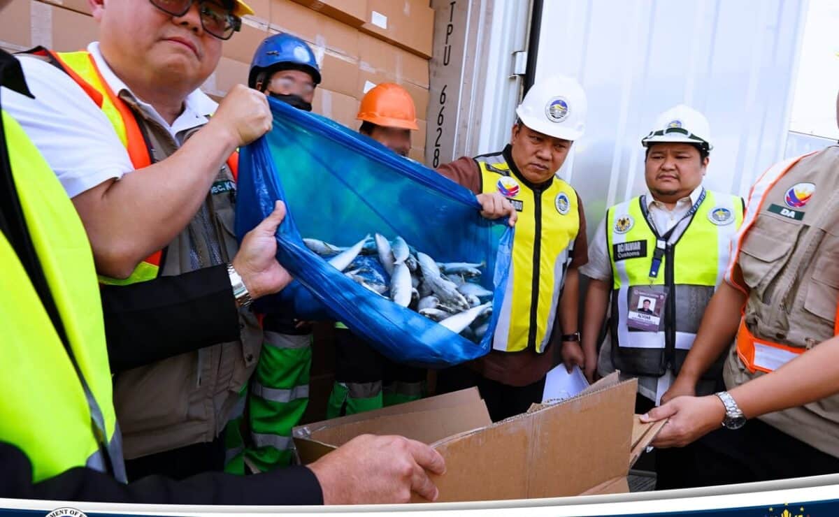 BOC: Smuggled frozen mackerel worth P202M seized in Manila port
