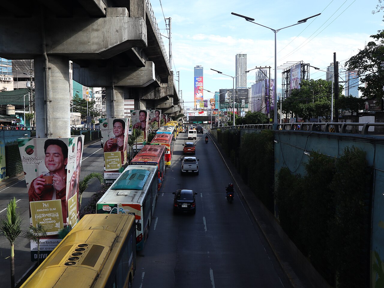 Elderly woman dies after Edsa tunnel fall