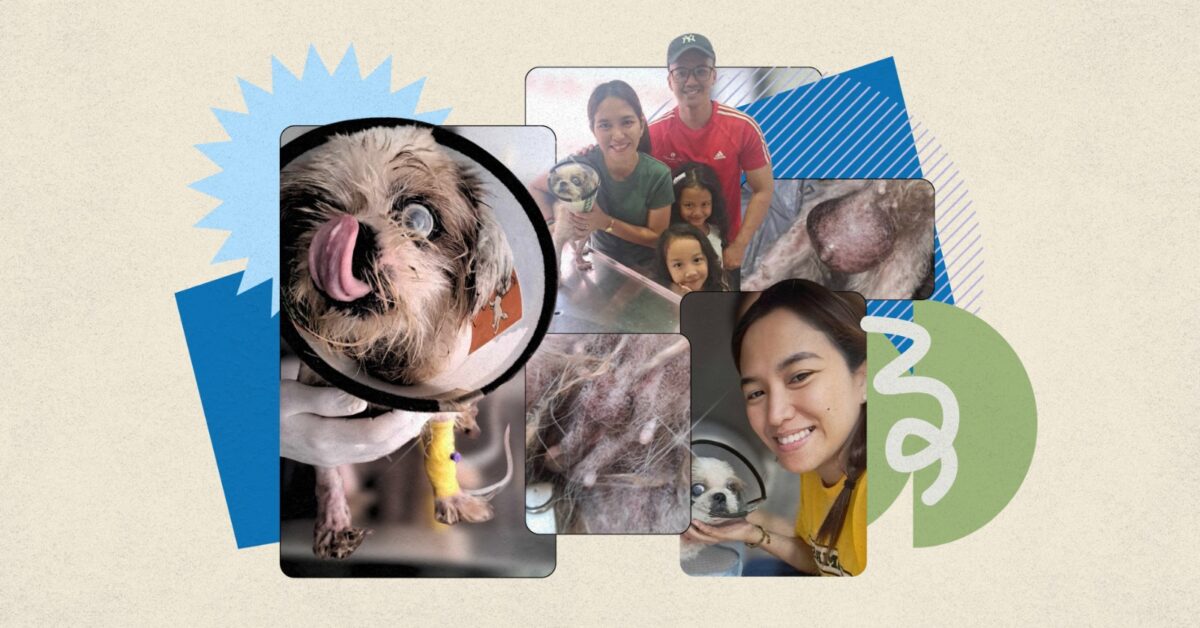 Fur parent Mary Gracelyn Galang thanks Good Samaritan for helping her dog Pepper beat a mammary tumor.